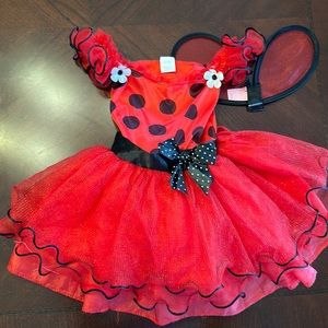 3T - 4T 🐞ladybug Halloween costume
